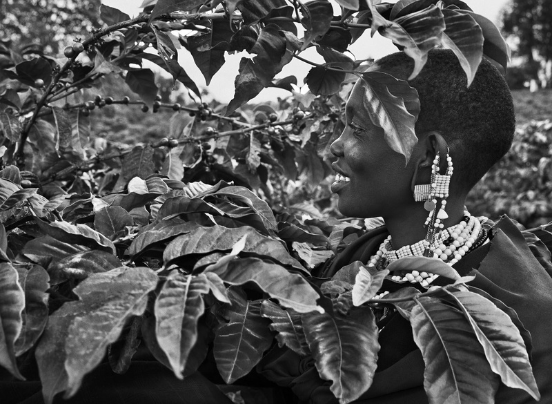 BYD patrocina primeira grande exposição póstuma de Sebastião Salgado Mostra estreou na sexta-feira (18) em Xangai e celebra o legado de um dos maiores nomes da fotografia brasileira e mundial